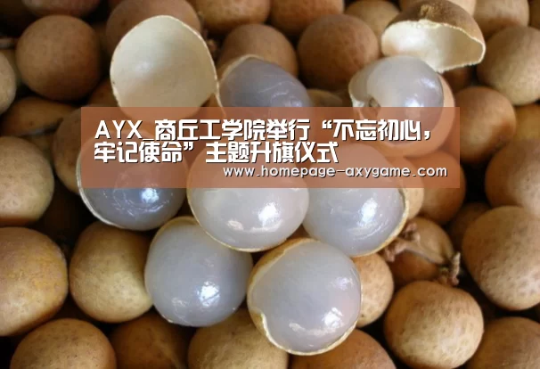 AYX_商丘工学院举行“不忘初心,牢记使命”主题升旗仪式(图1) AYX_商丘工学院举行“不忘初心,牢记使命”主题升旗仪式(图1)